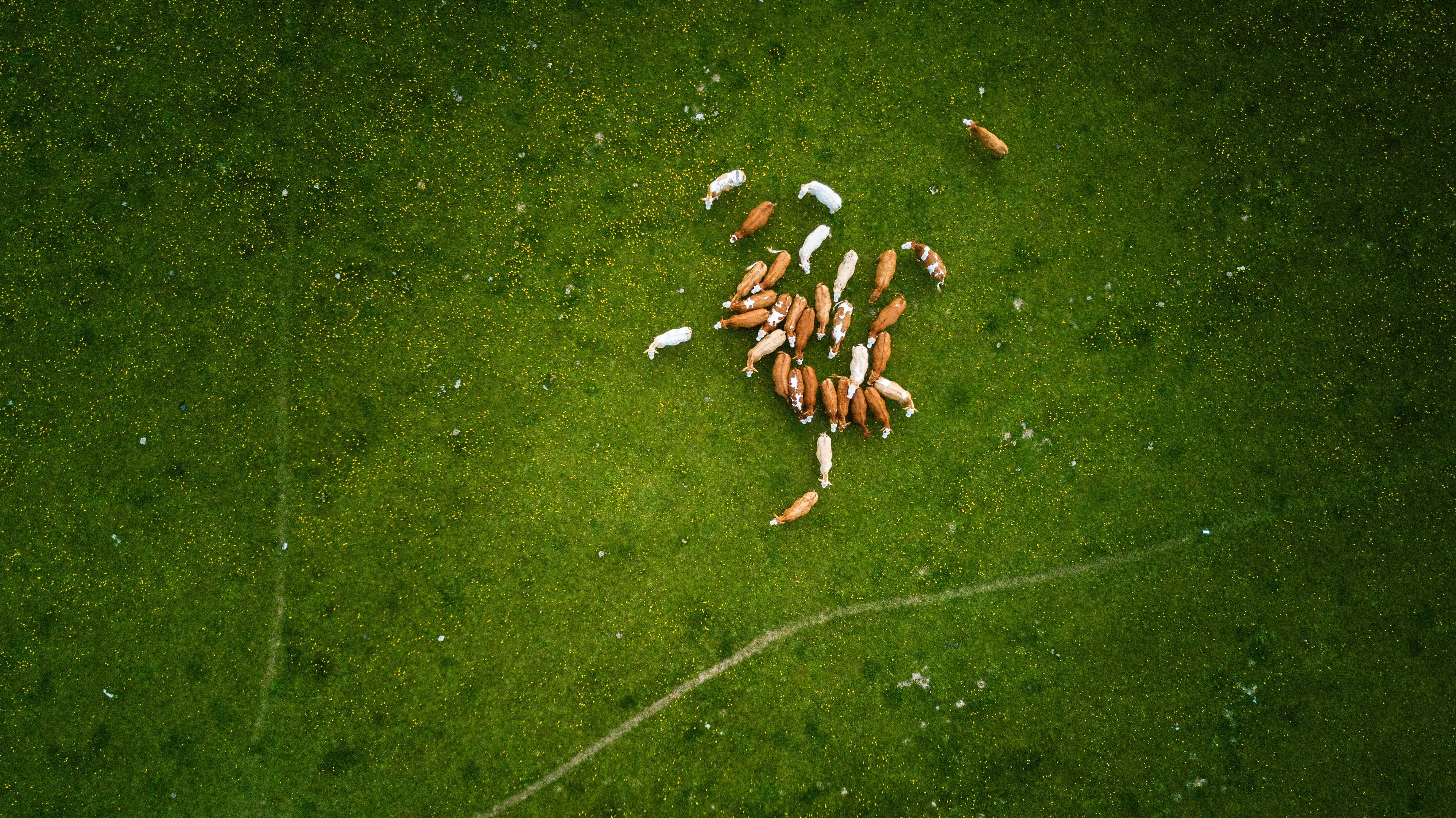 Fotografía aérea puerto