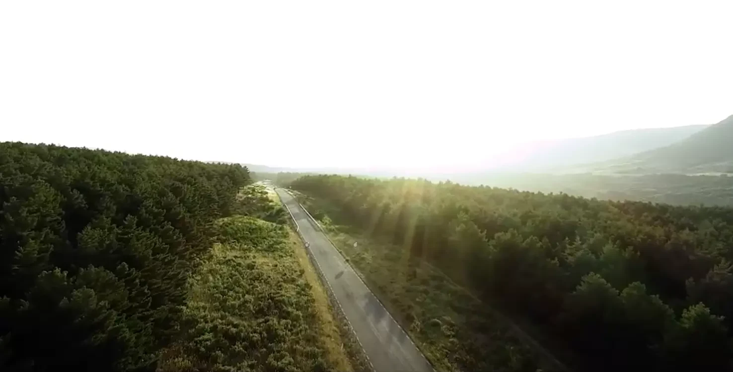 Carretera entre árboles vista desde el aire